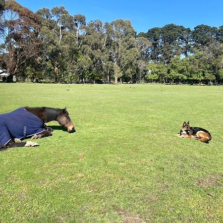 Farm Stay Maple Cottage At Wilindi Estate Tyabb Εξωτερικό φωτογραφία