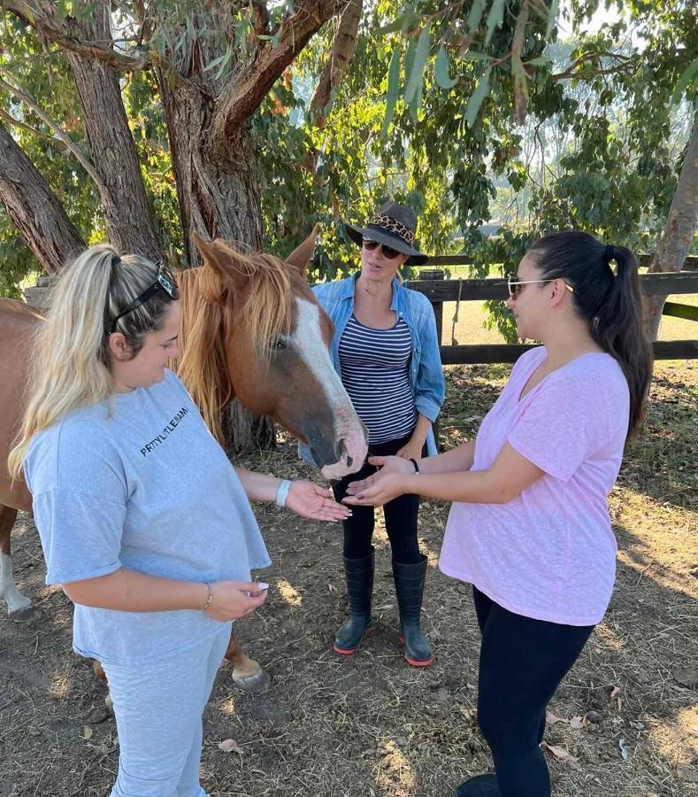 Farm Stay Maple Cottage At Wilindi Estate Tyabb Εξωτερικό φωτογραφία