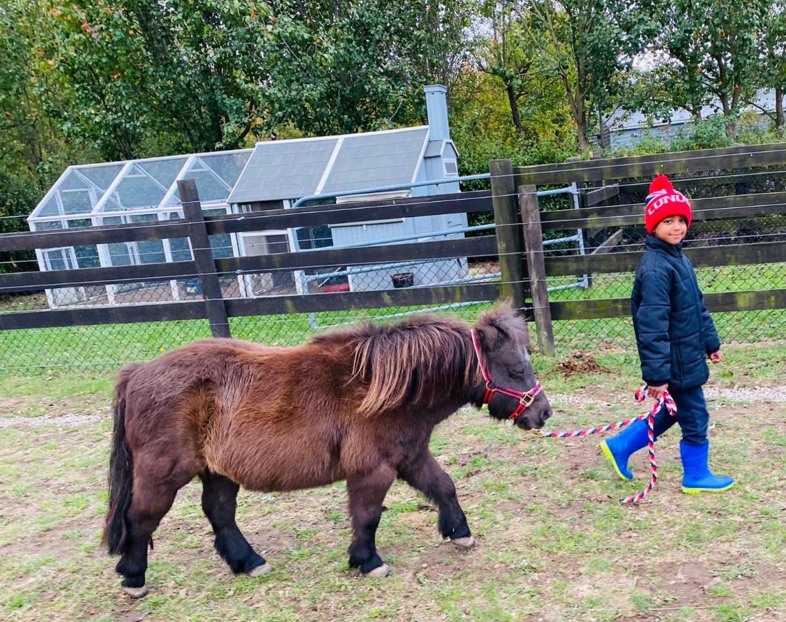 Farm Stay Maple Cottage At Wilindi Estate Tyabb Εξωτερικό φωτογραφία