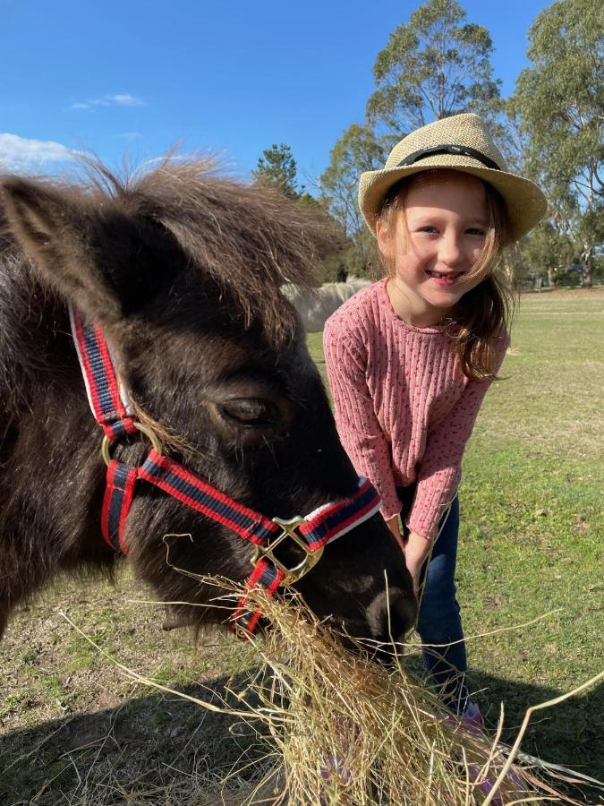 Farm Stay Maple Cottage At Wilindi Estate Tyabb Εξωτερικό φωτογραφία
