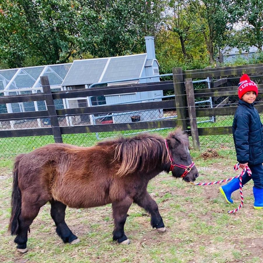 Farm Stay Maple Cottage At Wilindi Estate Tyabb Εξωτερικό φωτογραφία