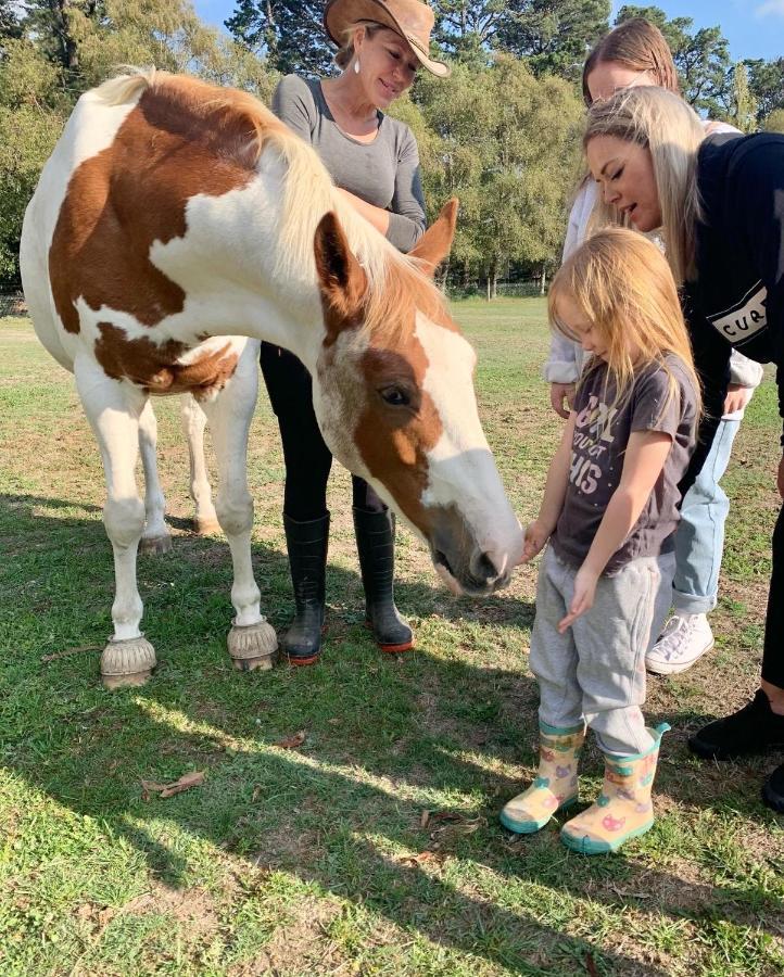 Farm Stay Maple Cottage At Wilindi Estate Tyabb Εξωτερικό φωτογραφία