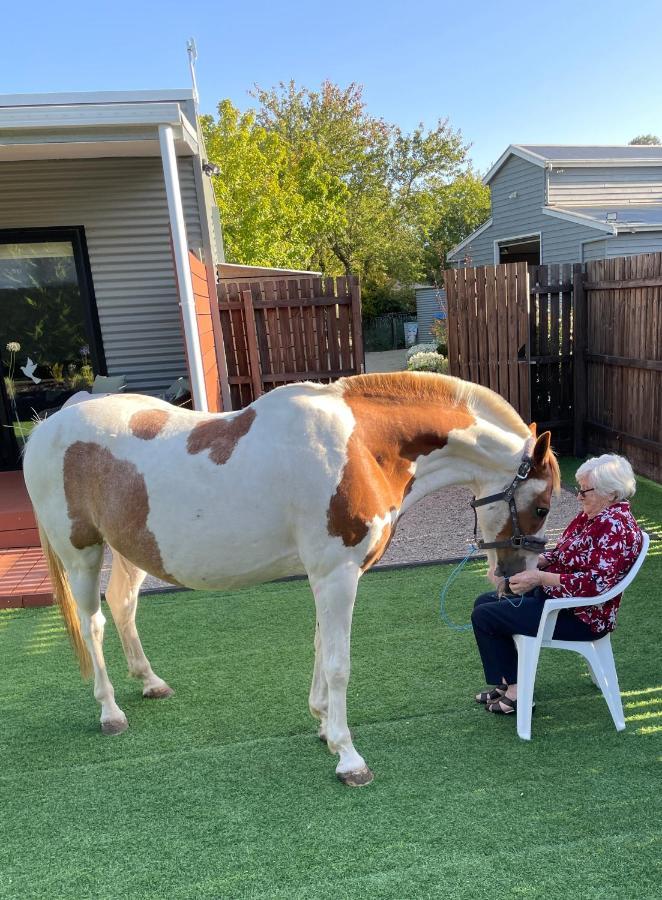 Farm Stay Maple Cottage At Wilindi Estate Tyabb Εξωτερικό φωτογραφία